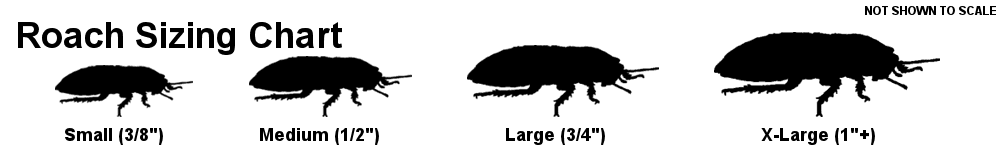 Roach Sizing Chart